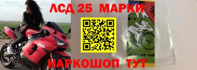 a pvp Шебекино