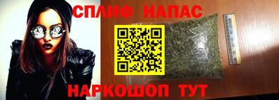 a pvp Шебекино